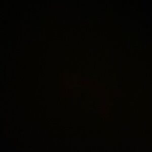 Meet your Posher, Lucy